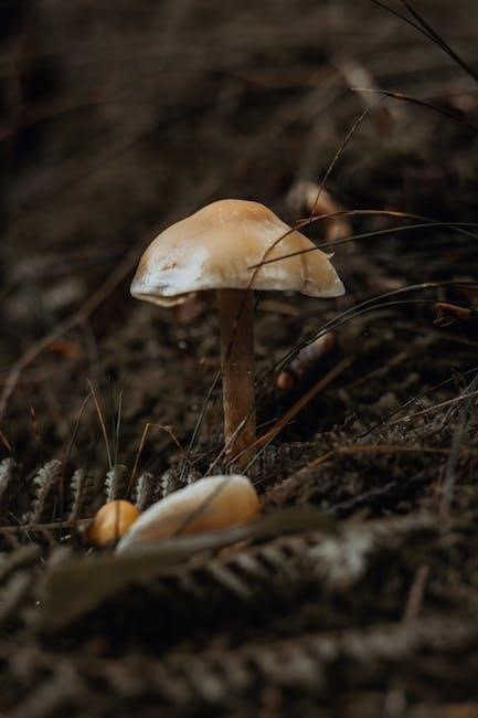 pexels-photo-18955810