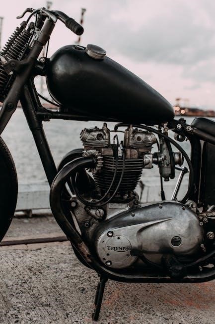 pexels-photo-4577739